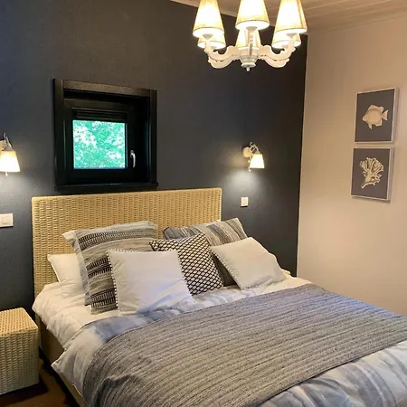 Feriehus Forest Mansion Retreat Antoing