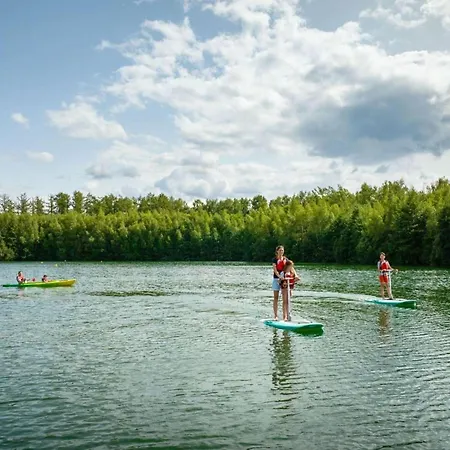 Feriehus Forest Mansion Retreat