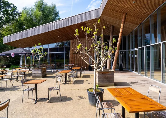 Forest Mansion Retreat Hébergement de vacances Antoing